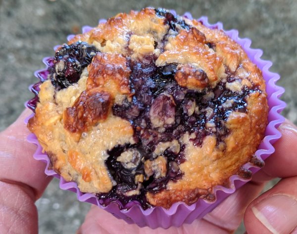 Oat Bran Blueberry Muffins